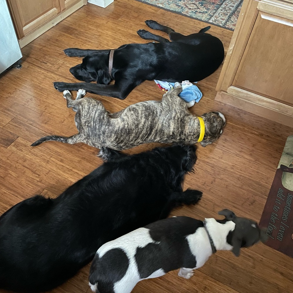 Meet your Posher, Angie